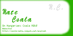 mate csala business card